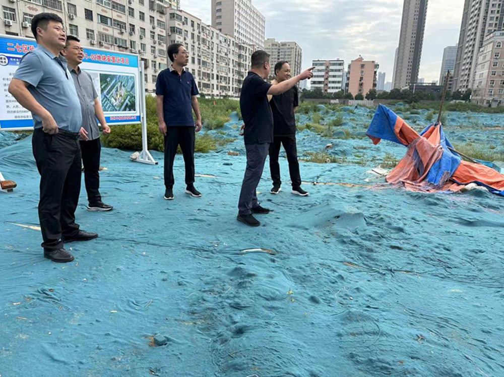华体会在线登录官网-华体会（中国）
党委委员、副总经理张岩到侯寨新镇区安置区调研项目建设工作